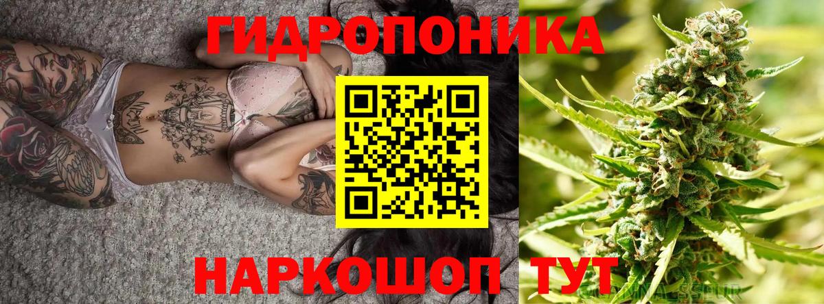 Шишки марихуана тримм Вышний Волочёк